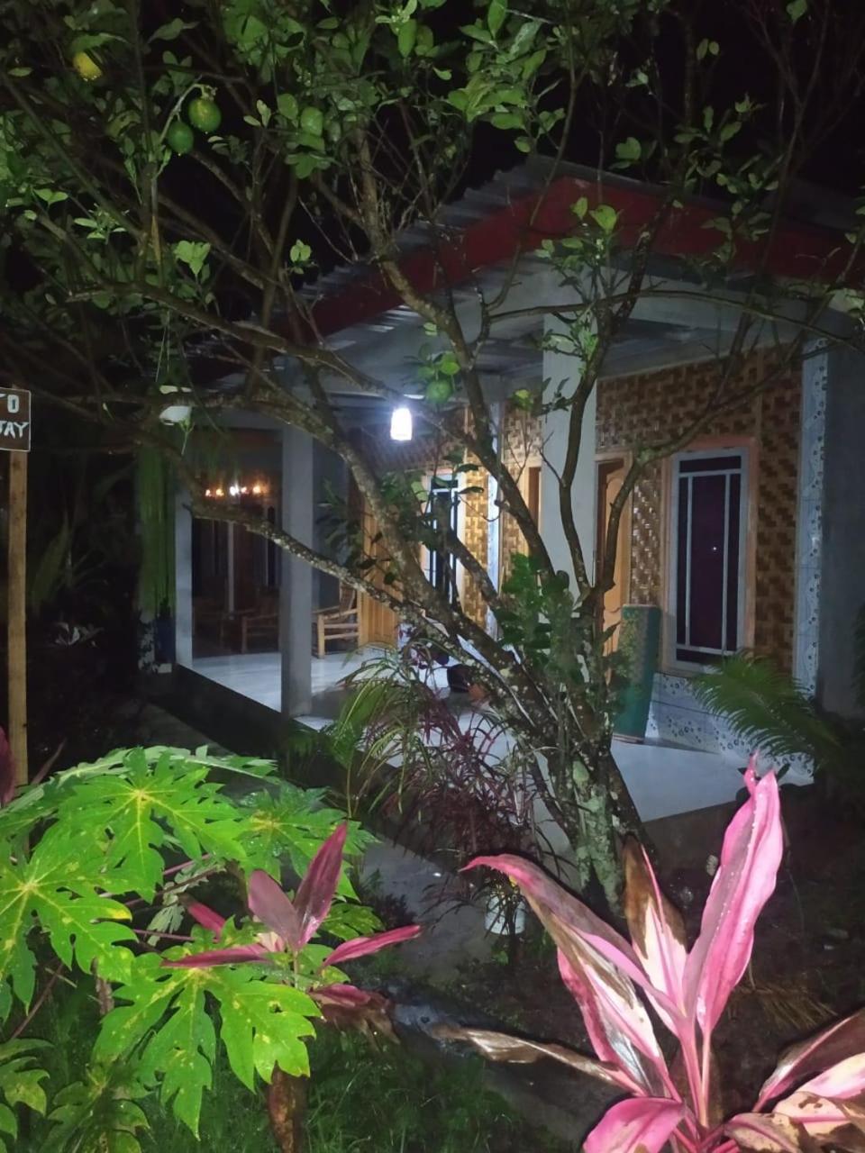 Eltari Homestay Tetebatu Eksteriør bilde