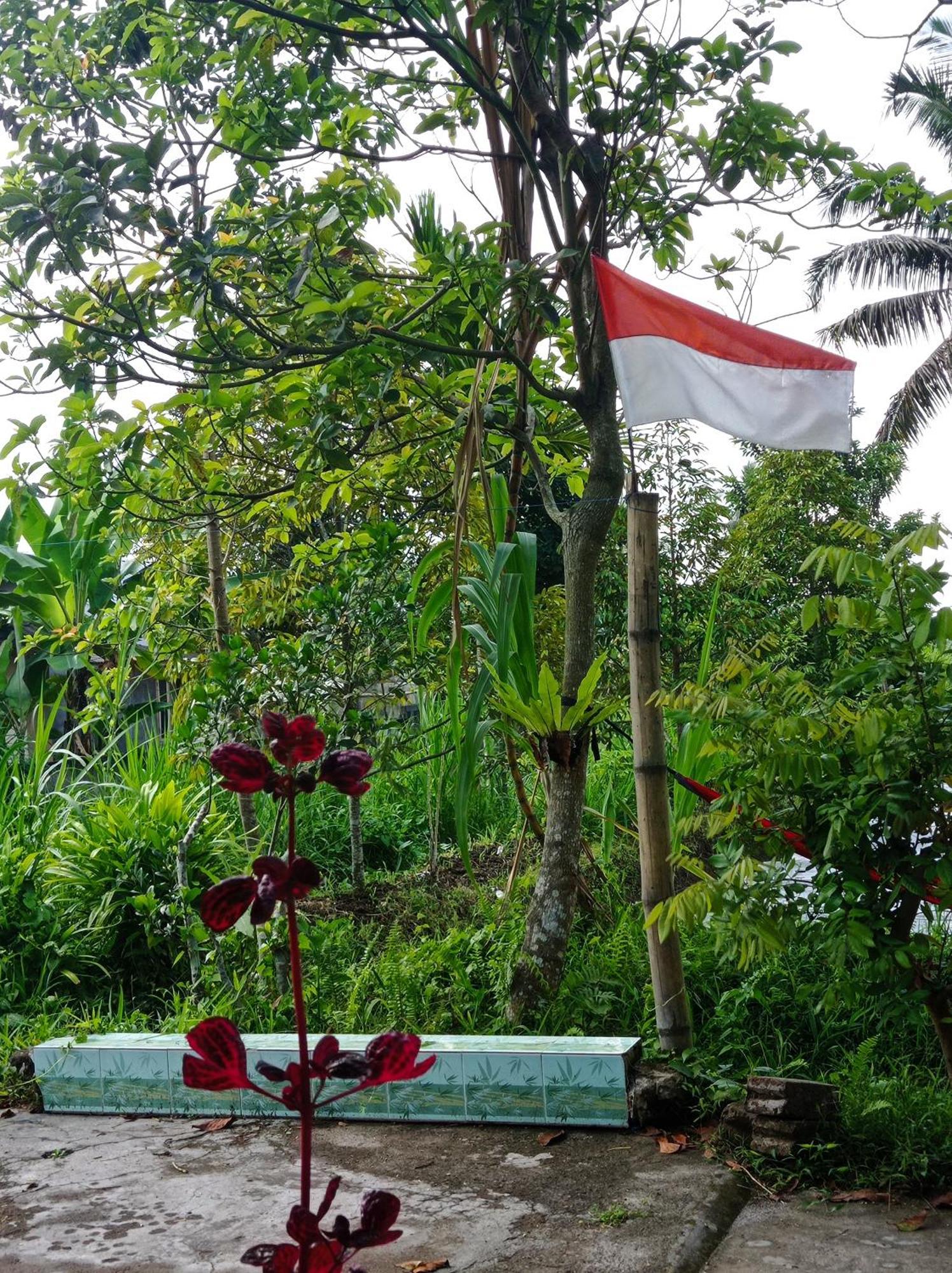 Eltari Homestay Tetebatu Rom bilde
